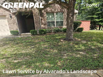 Lawn Cutin Porter,77365,Lawn Care Service by Alvarado's Landscape, work completed in Dec , 2025