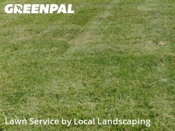 Grass Cut nearby Lewis Center, OH, 