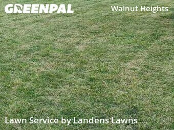 Lawn Care nearby Columbus, OH, 