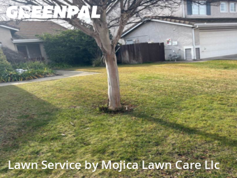 Work completed by grass-care-professionals-in-Rocklin-CA