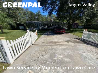 Yard Cutting nearby Wesley Chapel, FL, 