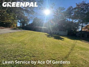 Lawn Mowing nearby Atlanta, GA, 