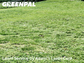 Lawn Cutting nearby St. Louis, MO, 