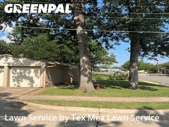 Landscape Design In Irving,75060,Landscaping by Tex Mex Lawn Service, work completed in Jun , 2026