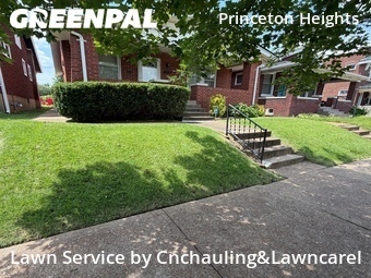 Yard Cutting nearby St. Louis, MO, 