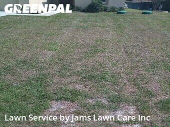 Lawn Care Service nearby Spring Hill, FL, 