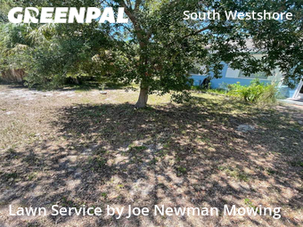 Lawn Mowing nearby Tampa, FL, 
