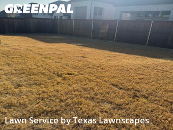 Affordable Landscaping Maintenance Services In Frisco,75035,Landscape Design by Texas Lawnscapes, work completed in Jan , 2026