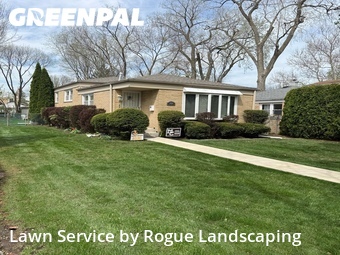 Yard Cuttingin Evanston,60201,Grass Cut by Rogue Landscaping, work completed in Jul , 2026