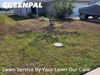 Lawn Mow nearby Winter Haven, FL, 