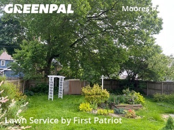 Grass Cut nearby Lansing, MI, 