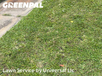 Grass Cutting nearby Dania Beach, FL, 