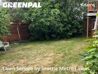 Lawn mowed in Seattle, 98107