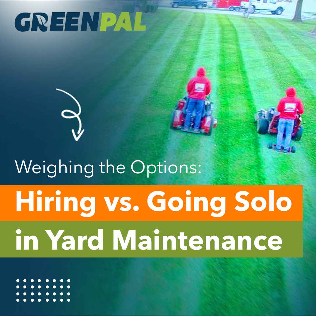 The Great Debate: To Hire or To Go Solo In The Yard Maintenance