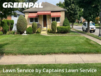 Lawn Cut nearby Buffalo, NY, 