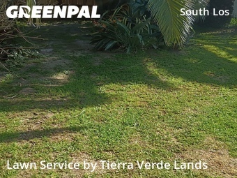 Yard Mowing nearby Los Angeles, CA, 