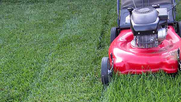 the-yard-cutting-businesses-in-Harrisonburg-VA