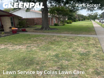 Lawn Cut nearby Plano, TX, 