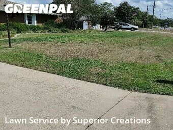 Lawn Service nearby Spring Hill, FL, 