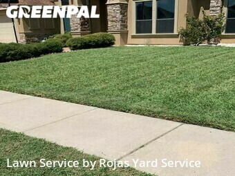 Lawn Cut nearby Edinburg, TX, 