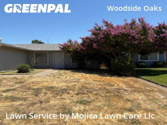 Work completed by local-lawn-and-landscape-maintenance-services-near-me-in-Citrus Heights-CA