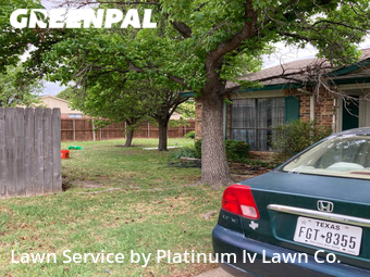 Lawn Cut nearby The Colony, TX, 