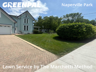 Yard Cutting nearby Plainfield, IL, 