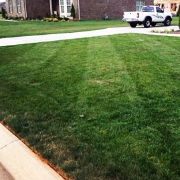local-lawn-care-services-in-Cordova-TN