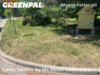 Yard Cutting nearby Ann Arbor, MI, 