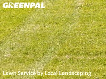 Lawn Mow nearby Marion, OH, 