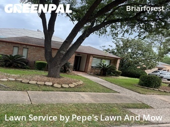 Grass Cut nearby Houston, TX, 