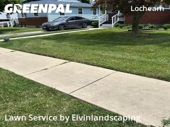 Grass Cut nearby Baltimore, MD, 
