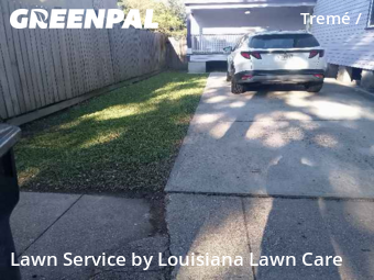 Landscaping In New Orleans,70116,Landscaping Installation by Louisiana Lawn Care , work completed in Jan , 2026