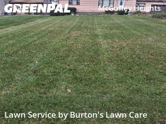 Yard Maintenance in Youngstown, 44505, Yard Cutting by Burton's Lawn Care, work completed in Nov , 2025