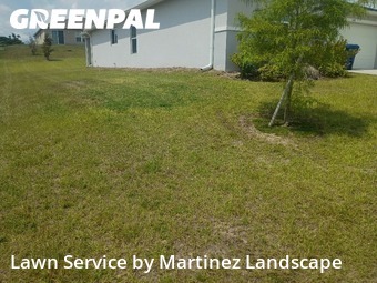 Lawn Mowing nearby Mascotte, FL, 