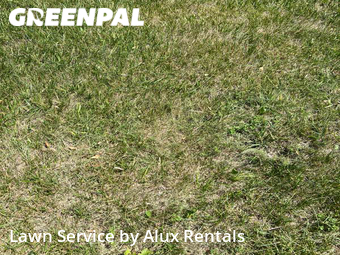 Lawn Mowing Service nearby Valparaiso, IN, 