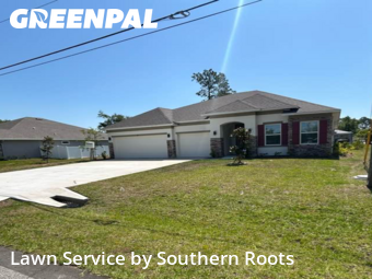Lawn Cut nearby Palm Coast, FL, 