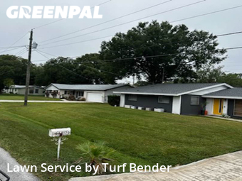 Grass Cut nearby Tampa, FL, 