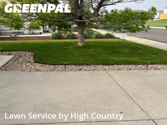 Lawn Care nearby Thornton, CO, 