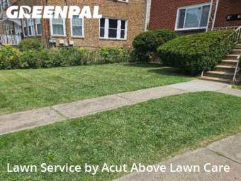 Grass Cutting nearby Pittsburgh, PA, 