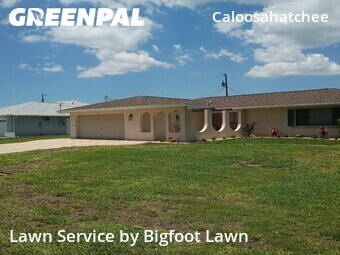Grass Cut nearby Cape Coral, FL, 