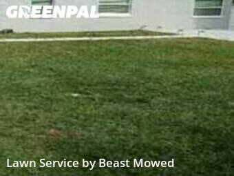 Yard Mowing nearby St. Petersburg, FL, 