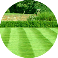 local-lawn-and-landscape-maintenance-services-near-me-in-Worcester-MA