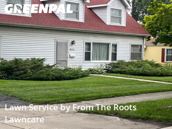 Yard Cutting nearby Elmhurst, IL, 