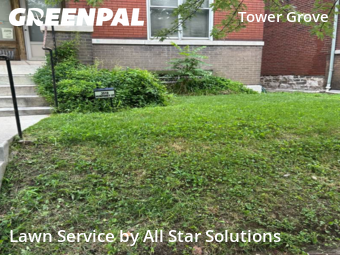 Lawn Care Service nearby St. Louis, IL, 