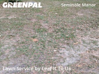 Grass Cut nearby Tallahassee, FL, 