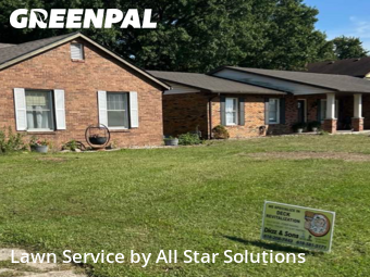 Lawn Carein Granite City,62040,Yard Mowing by All Star Solutions, work completed in Dec , 2025