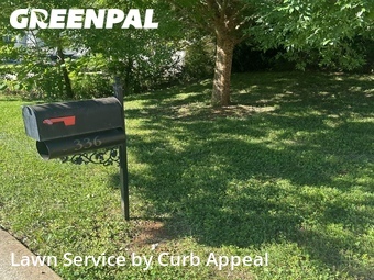 Lawn Cut nearby Midland, NC, 