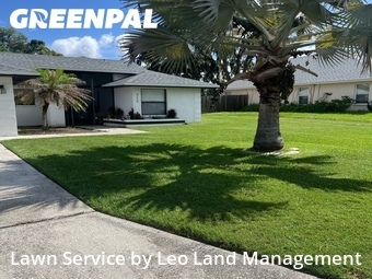 Lawn Mow nearby Lakeland, FL, 