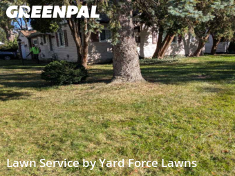 Lawn Maintenance in Fairview Park, 44126, Lawn Care by Yard Force Lawns, work completed in Oct , 2025
